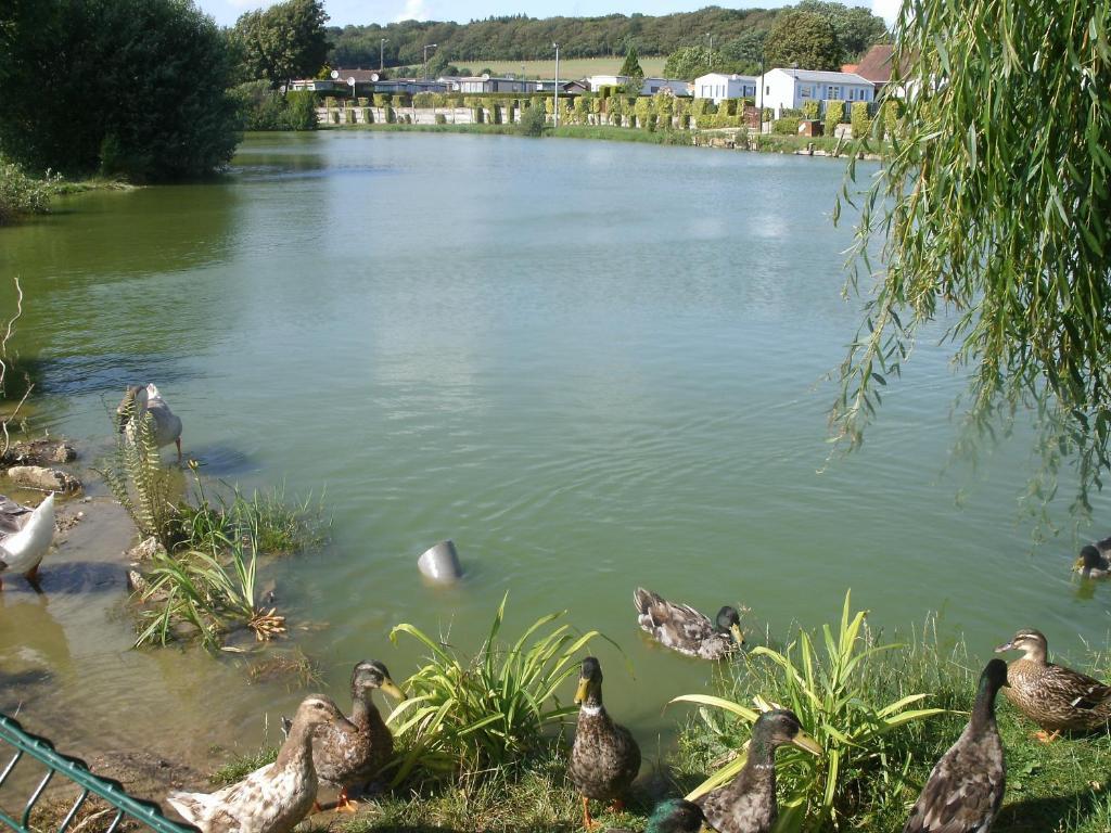 Auberge Des Etangs Roussent Buitenkant foto